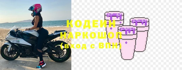 стаф Кулебаки