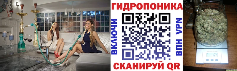 Шишки марихуана сатива  Купить закладки  Белый 